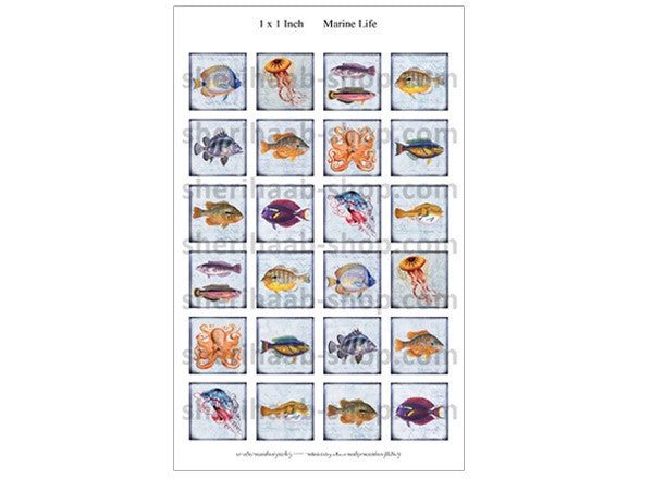 ITS Collection Sheet - Marine Life